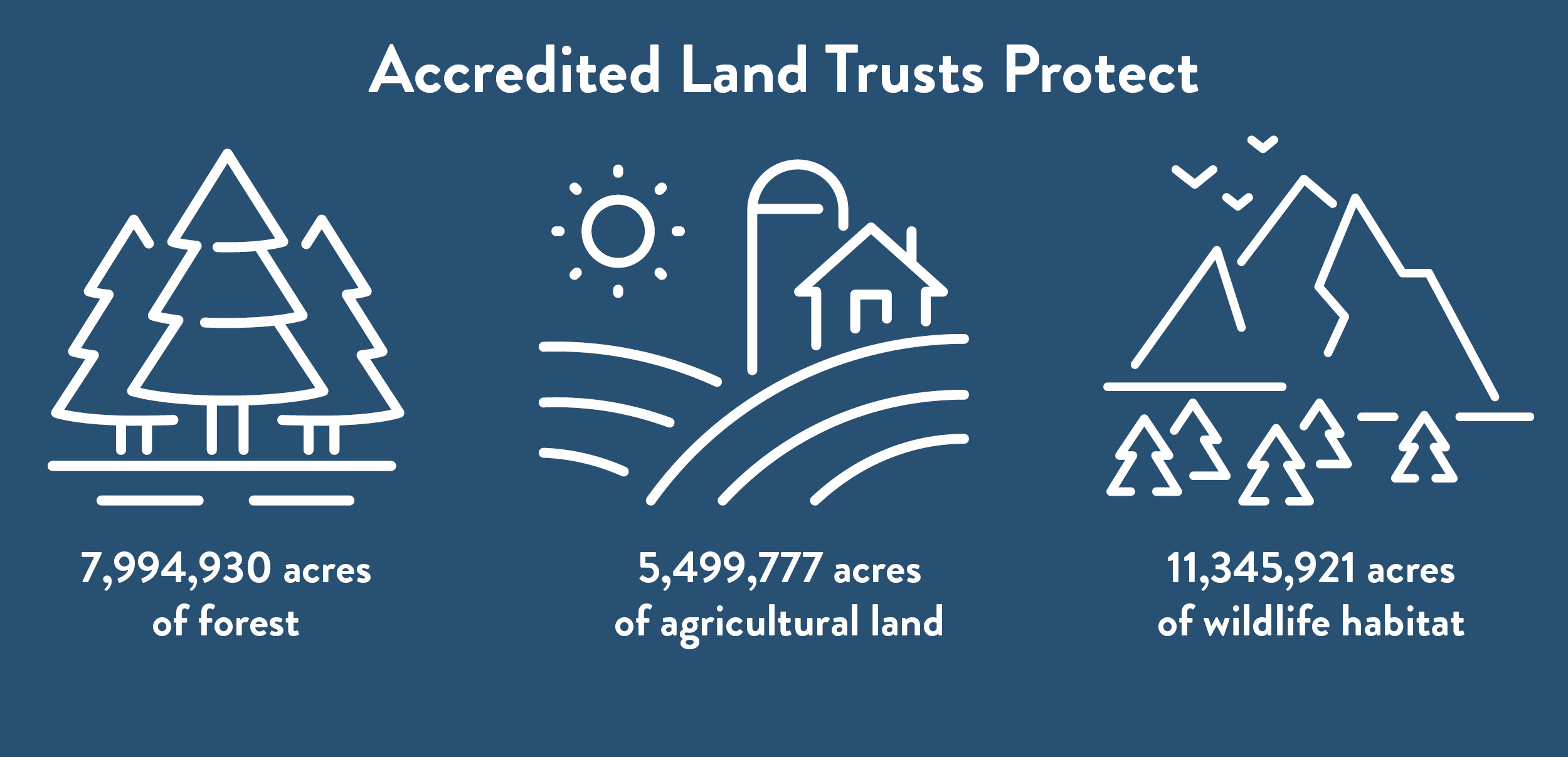 accredlandtype stats 24