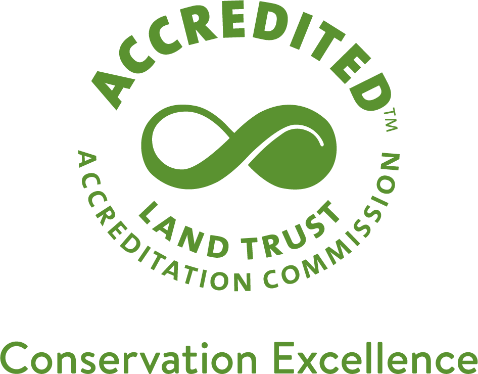 seal green tagline