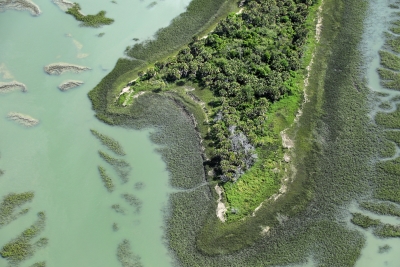 Lowcountry Land Trust-Protected Property in James Island SC