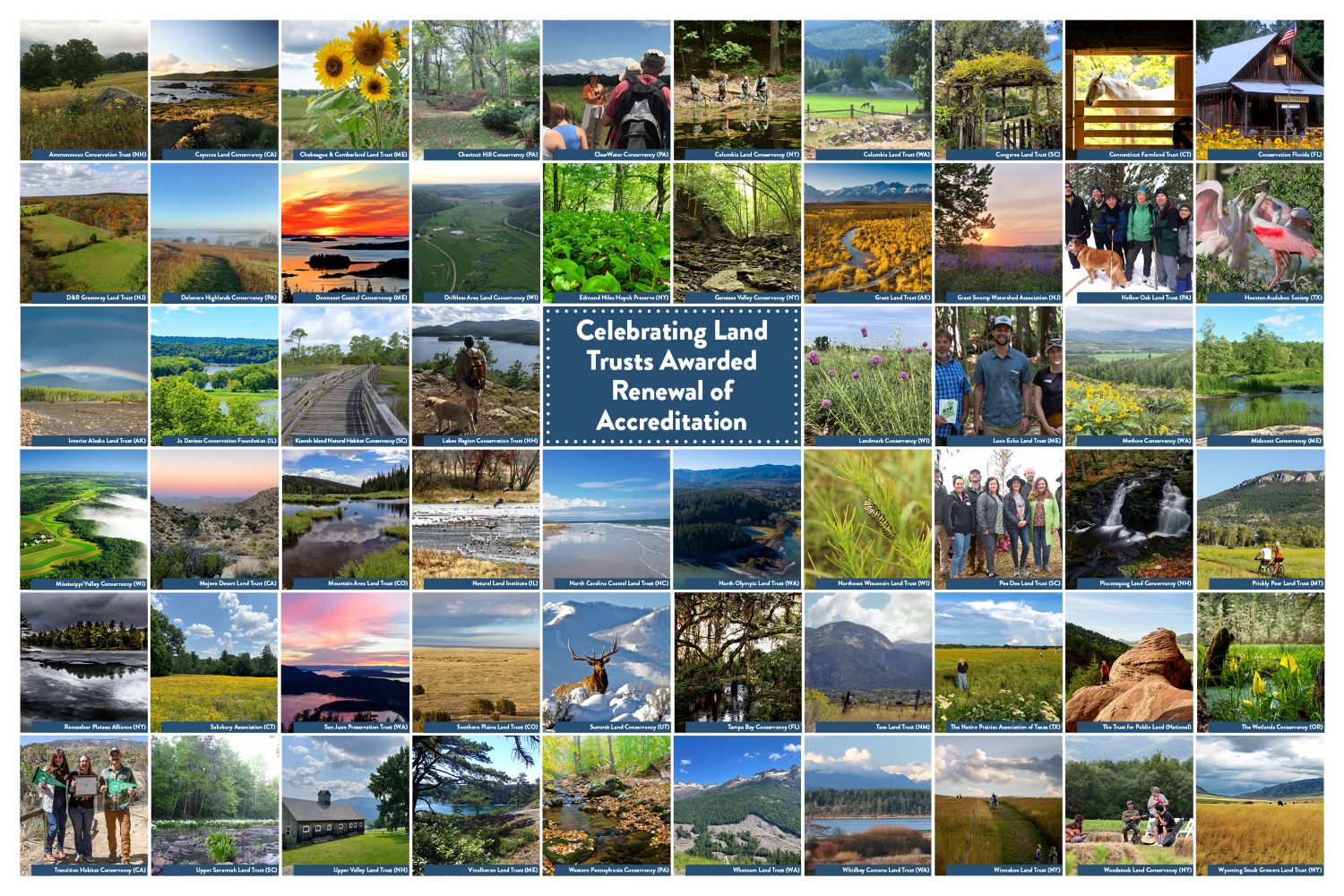 renewal celebration