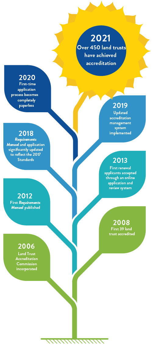 sunflower timeline 1