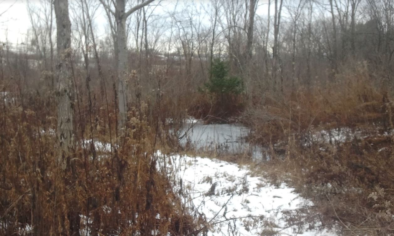 tug hill kibiuk wildlife sanctuary